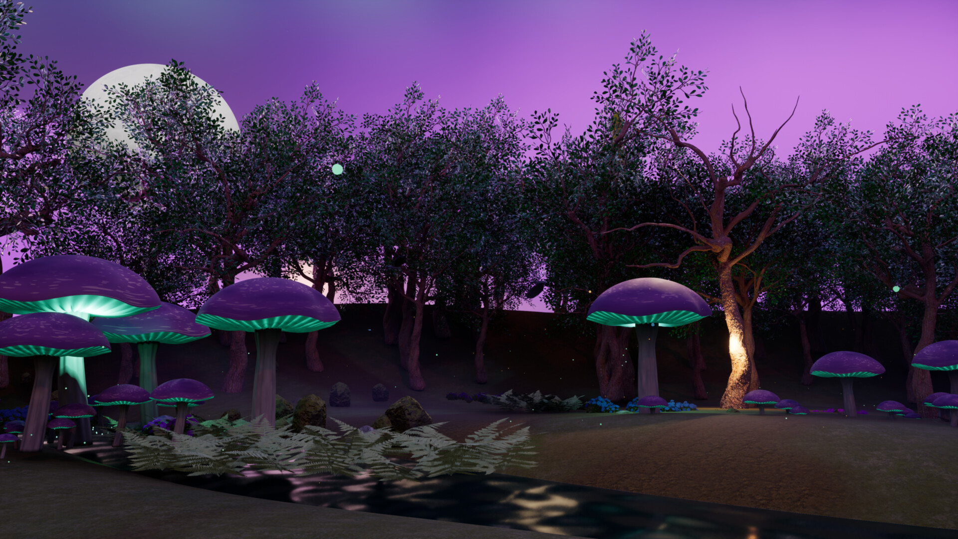 Celestial Vistas